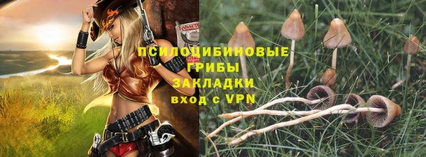 дурь Липки