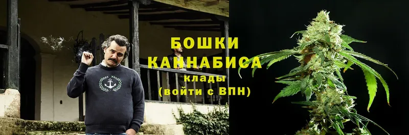 Конопля Bruce Banner  цены   Ершов 